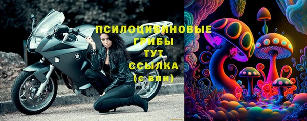 гашик Богородицк