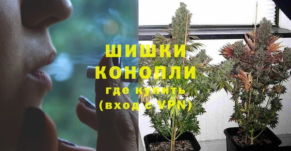 гашик Богородицк