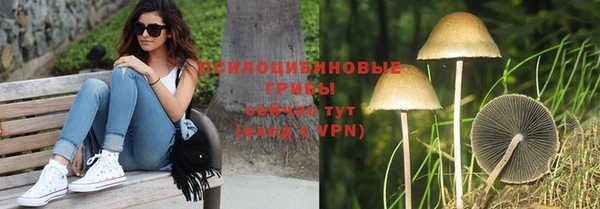 гашик Богородицк