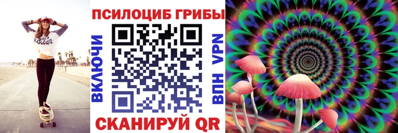 где купить   Ульяновск  Псилоцибиновые грибы мицелий 